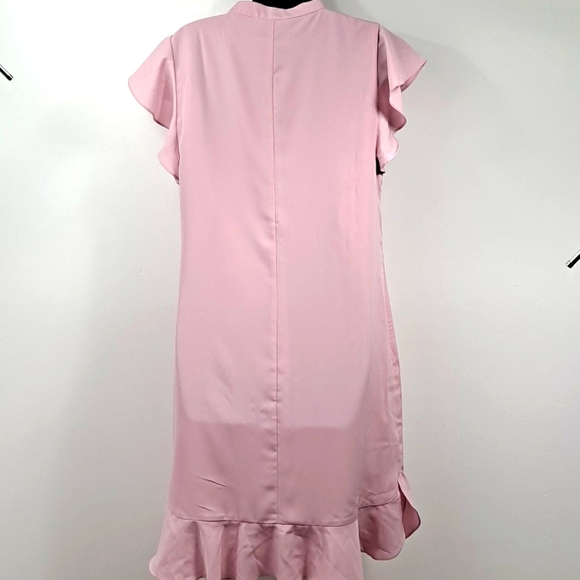 NWOT! Ann Taylor Pink Ruffle Dress 4T - Picture 3 of 4